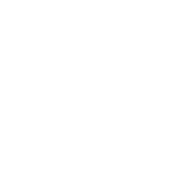 White Transparent Icon